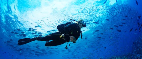 Diving Packages & Resorts in the Philippines