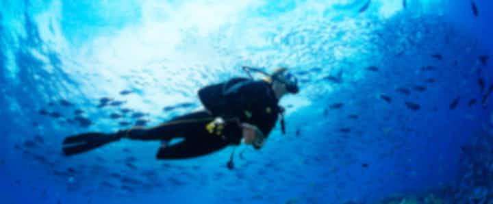 Philippine Scuba Diving Packages & Courses