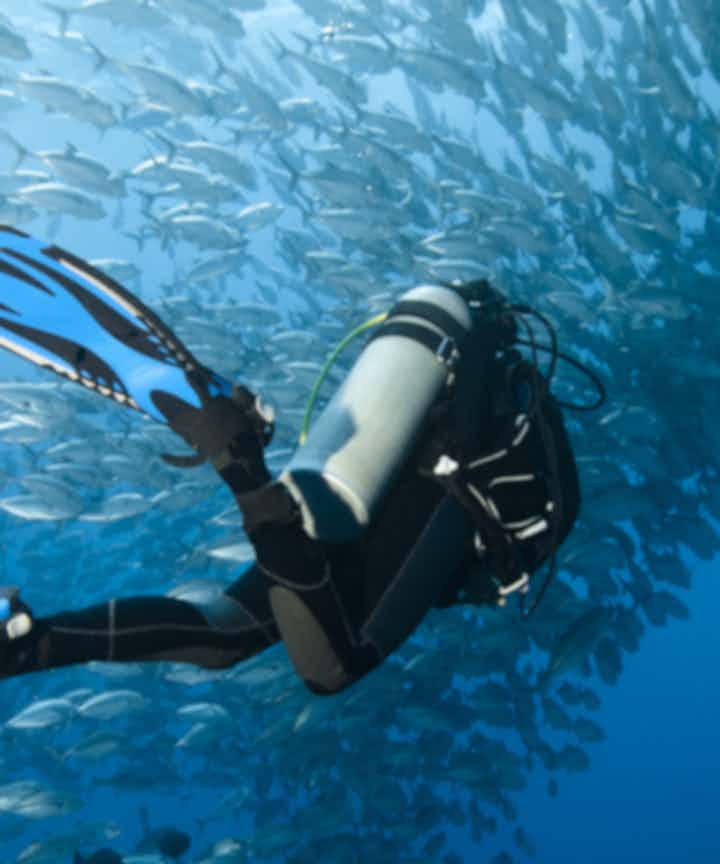 Bohol Diving Courses and Packages