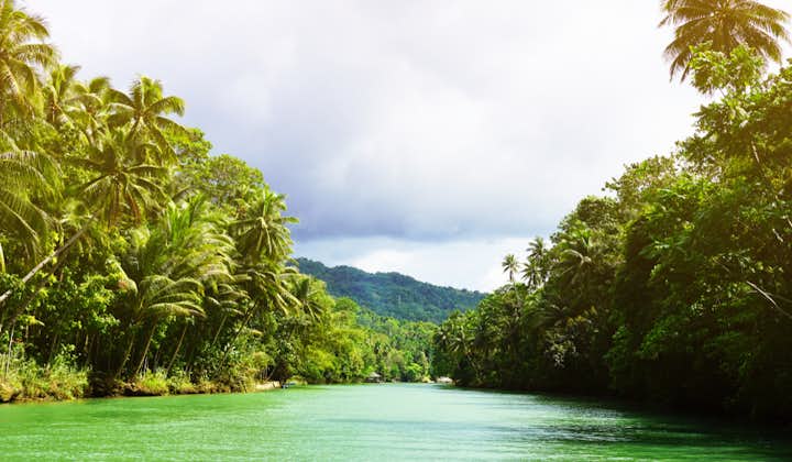 One of the most popular tourist spots in Bohol, Loboc River