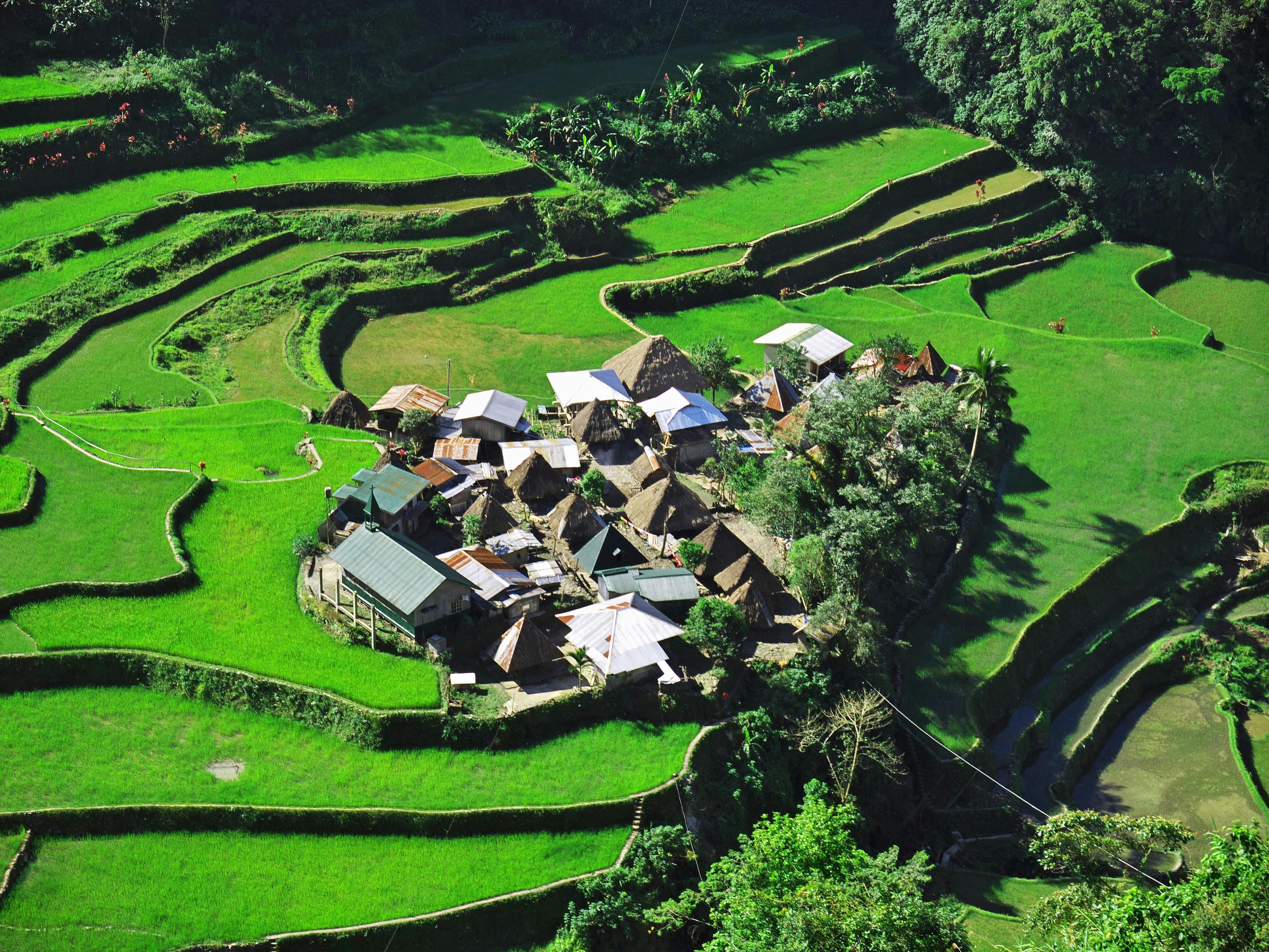 Small village of Bangaan in Banaue