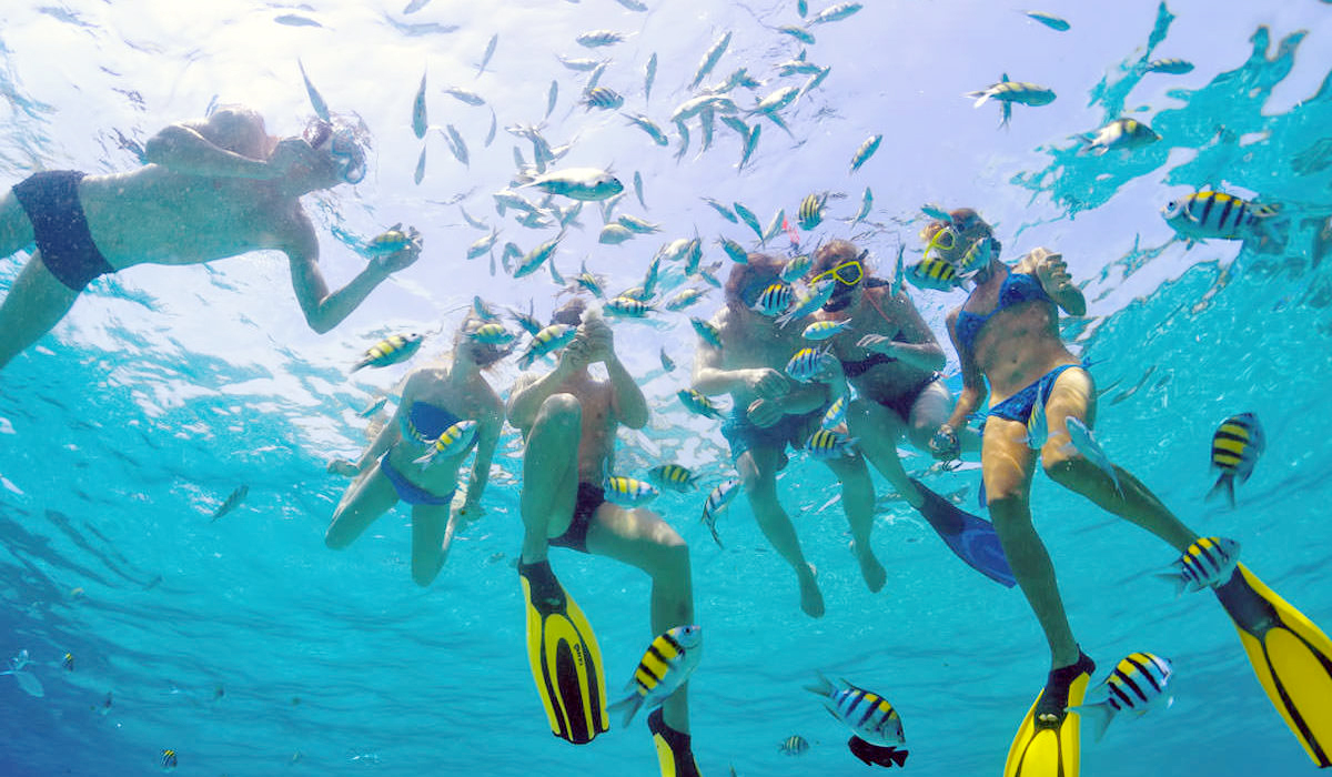 People snorkeling and swimming with fishes