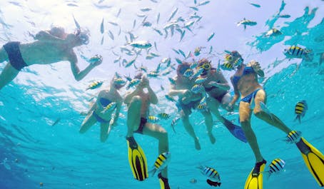 People snorkeling and swimming with fishes