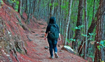 Woman walking in the Camp John Hay Forest Trail