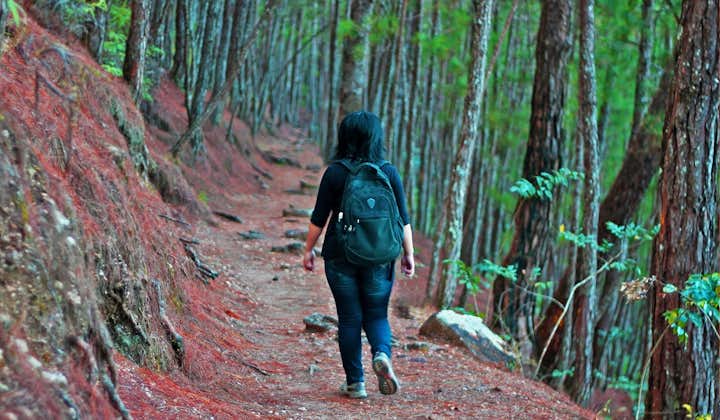 Woman walking in the Camp John Hay Forest Trail