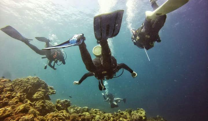 Group diving session in Mactan Cebu