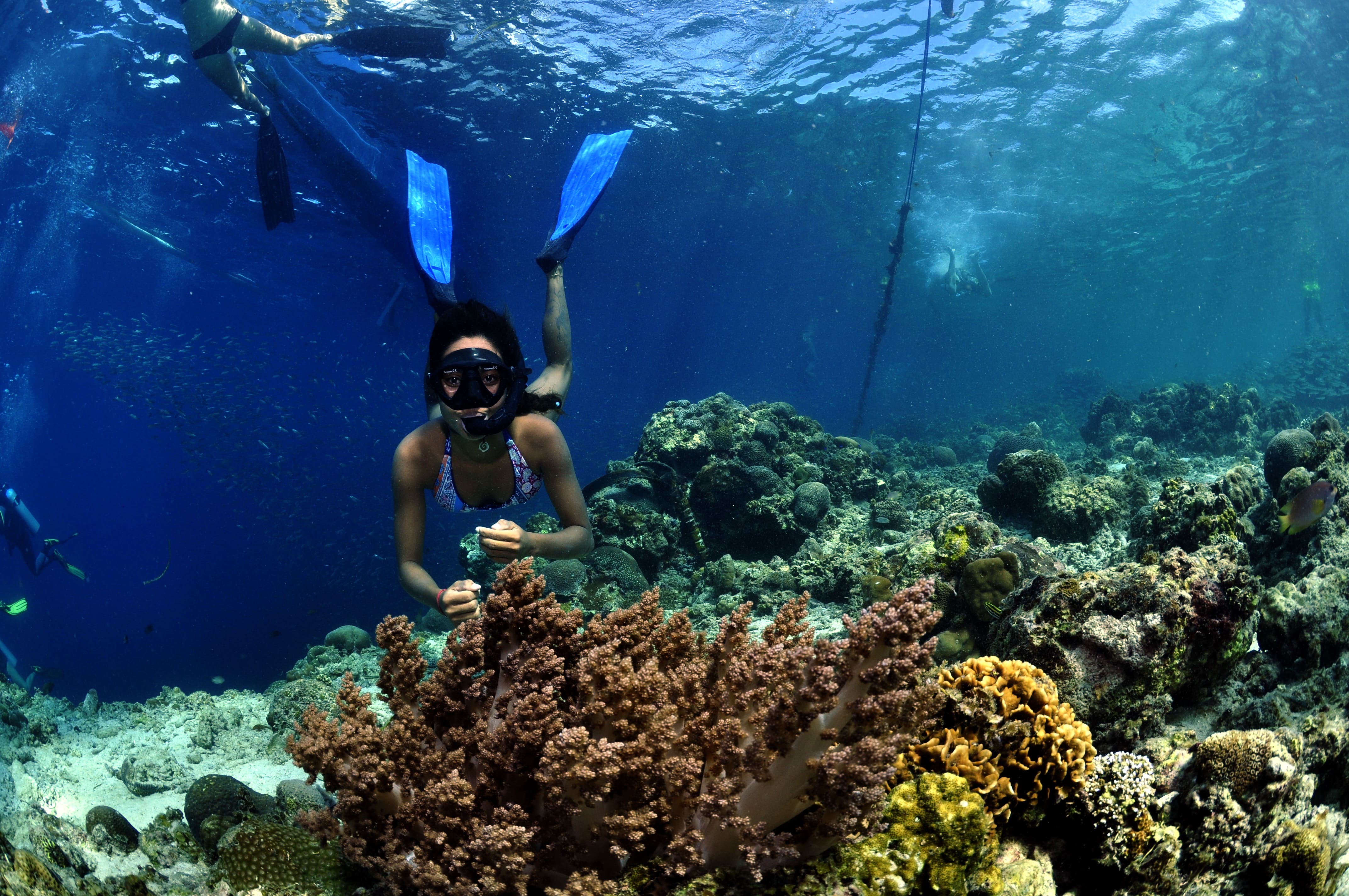 Open water dive session in Cebu