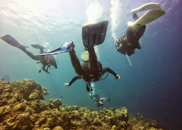 Three divers exploring the Hilutungan Marine Sanctuary in Cebu