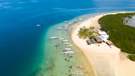 Starfish Island in Palawan
