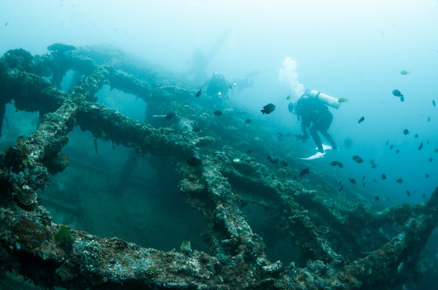 Divers at a shipwreck site in Anilao, Batangas
