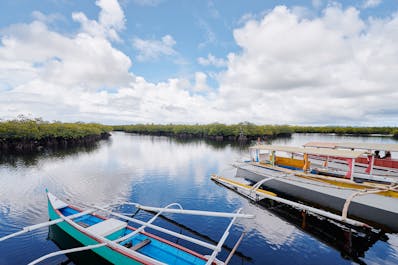 Boats in Cambuhat Village in Bohol