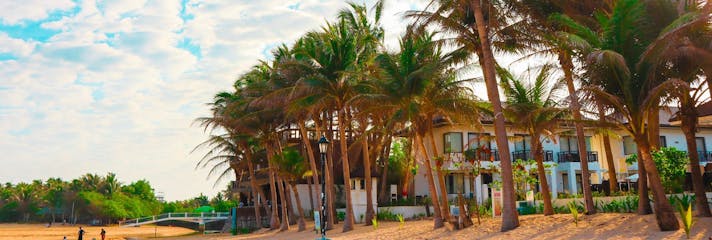 Palm trees lining Bolinao Beach, Pangasinan - Copy.jpg
