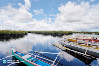 Boats in Cambuhat Village in Bohol