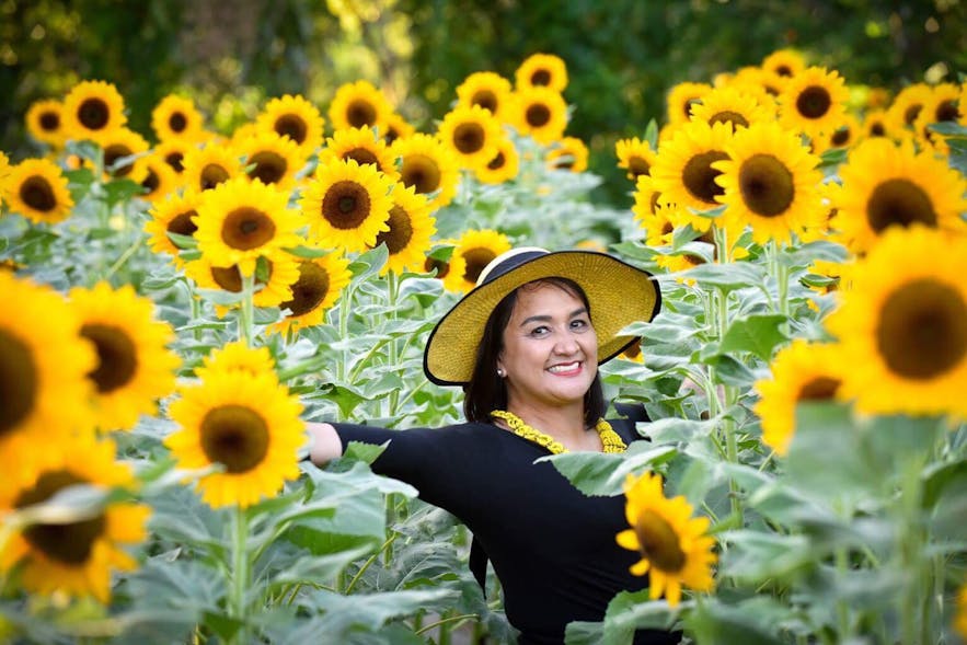 Woman posing in a field of sunflowers in Sunshine Farm