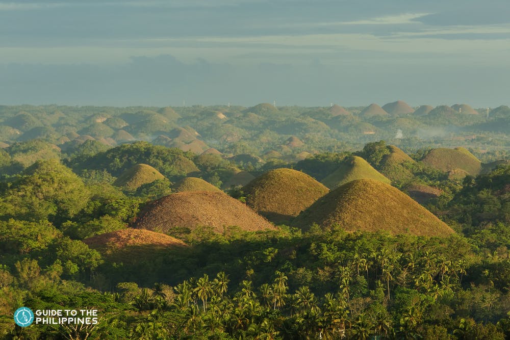Scenic view of Bohol's Chocolate Hills