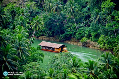 Aerial view of the Loboc River cruise experience in Bohol