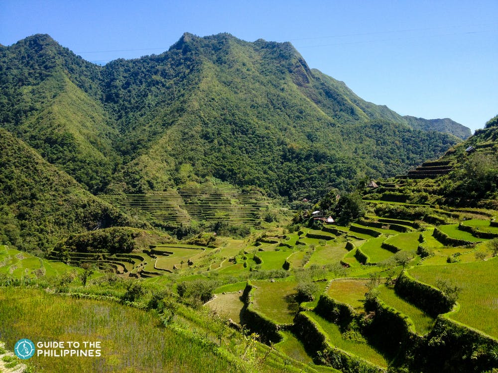 Beautiful rice terraces of Batad