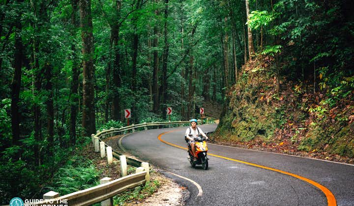 A man riding a motorcycle in Bilar Manmade Forest in Bohol