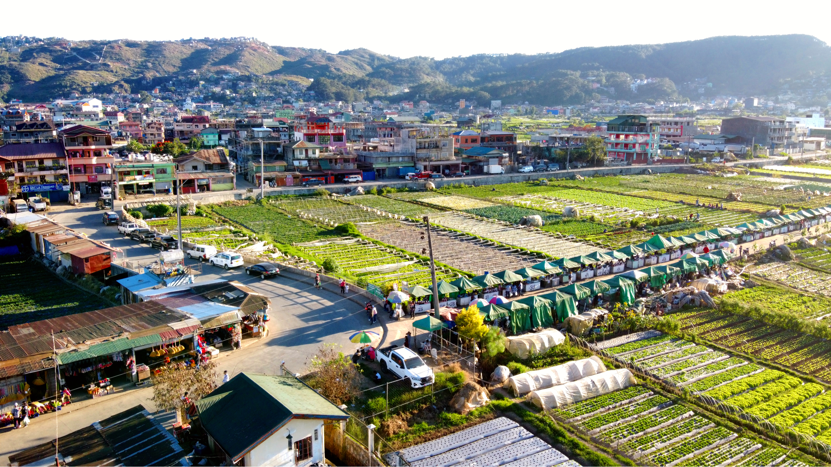 Aerial view of a strawberry farm in Benguet