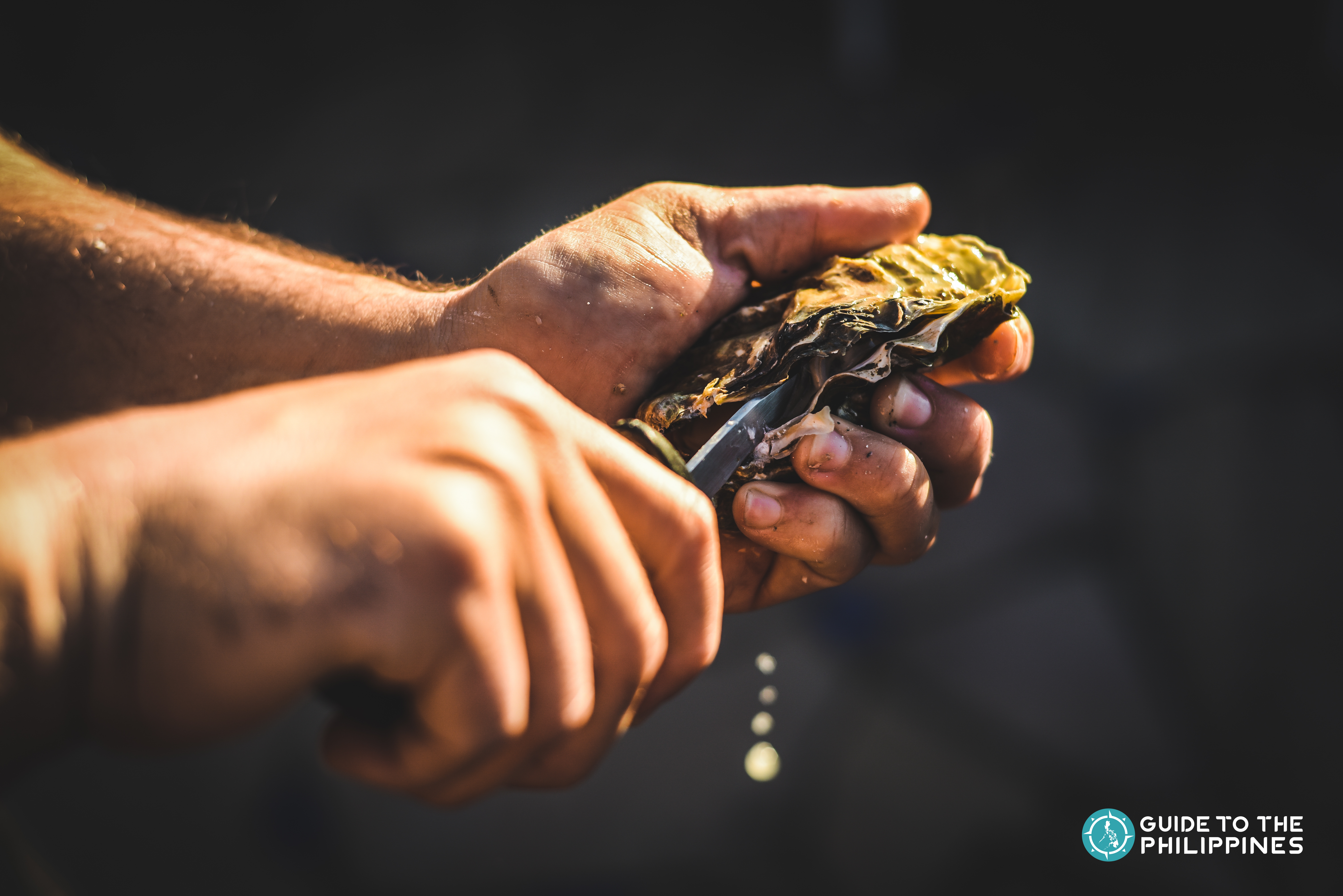 shucking an oyster at Bohol Cambuhay Oyster Village