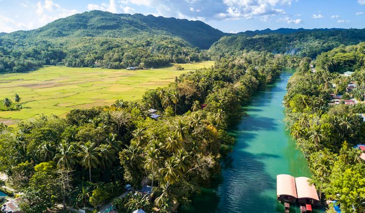 Beautiful scenery around Loboc River in Bohol