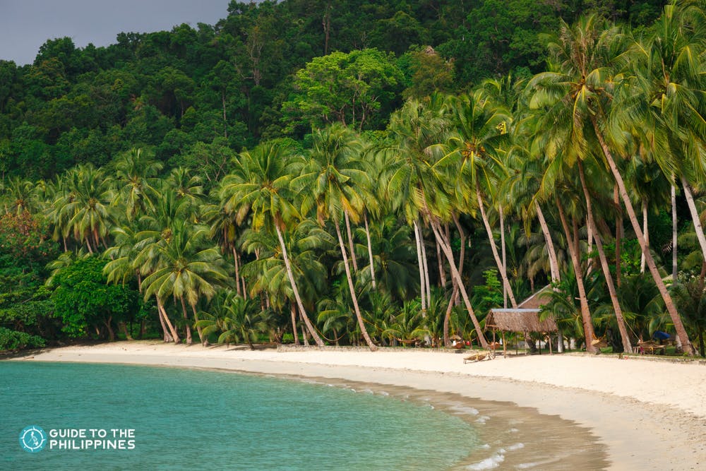 White sand beach and palm trees at Port Barton in Palawan