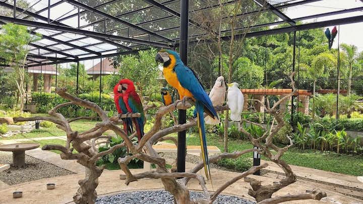 16 Kid-Friendly Places to Visit in Manila &amp; Nearby: Outdoor, Zoos, Hotels &amp; Resorts