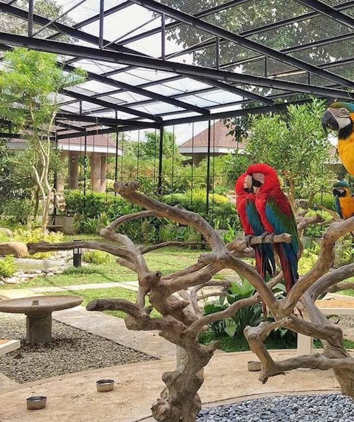 Where Kids Are Allowed In &amp; Near Manila: 15 Kid-Friendly Outdoor Attractions, Hotels &amp; Resorts