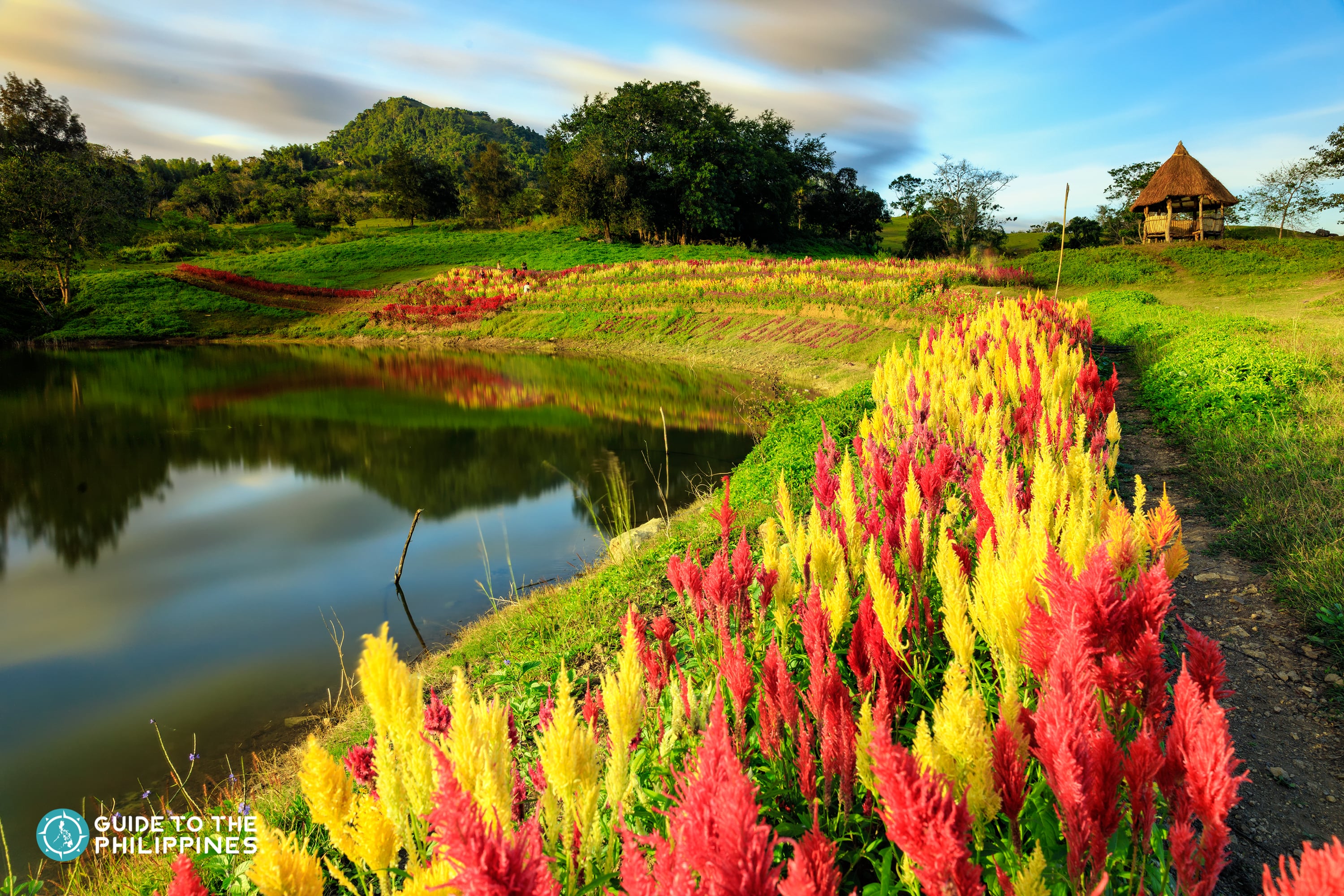 Sirao Flower Farm in Cebu