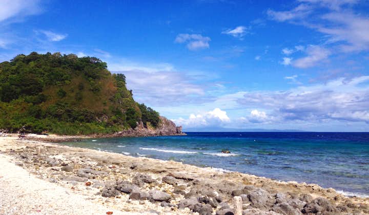 Beautiful beach of Apo Island in Dumaguete