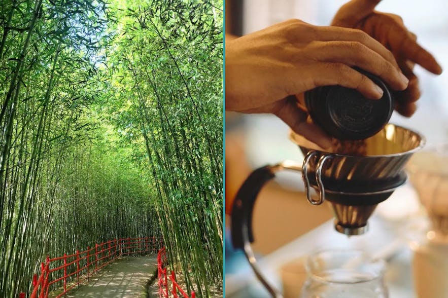 The Bamboo Sanctuary and a barista making coffee in Baguio