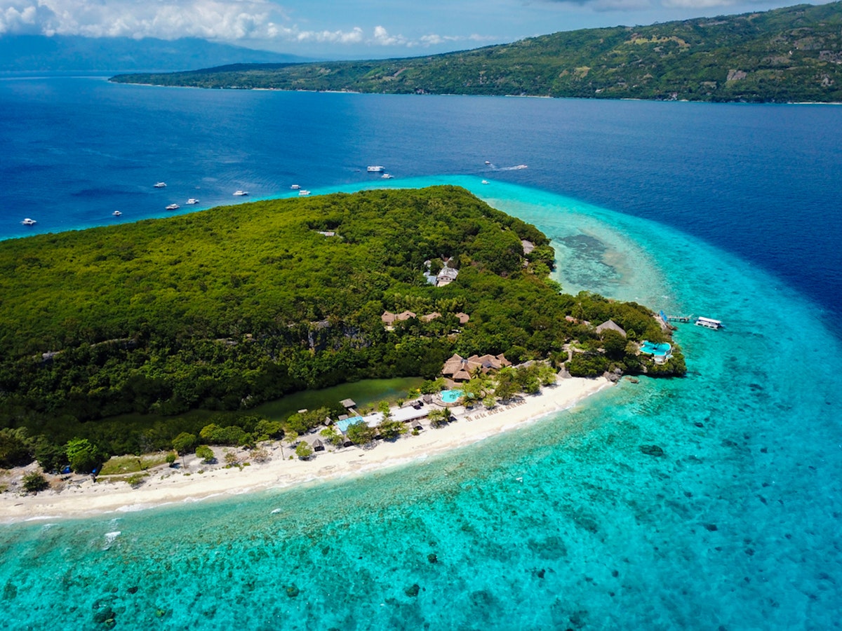 Cebu Oslob Whale Shark Watching & Sumilon Sandbar Private...