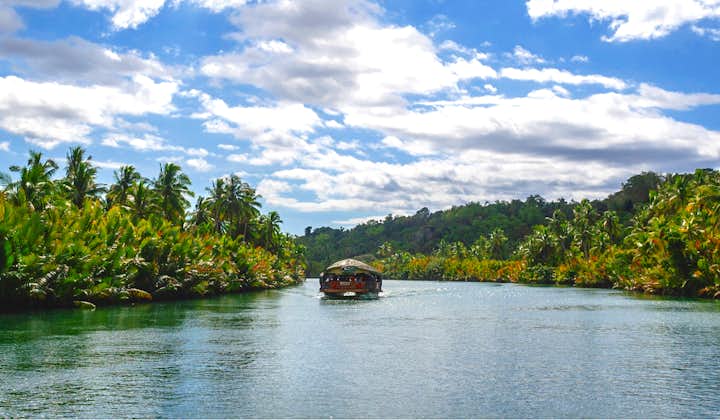Peaceful environment at the Loboc River in Bohol