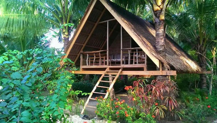Coconut Tree House in Mindoro
