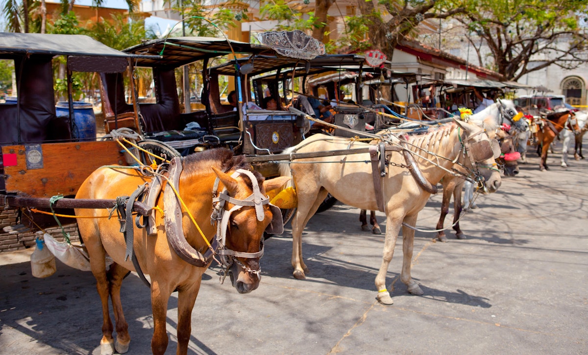 Ilocos Sur Vigan City Heritage & Sightseeing Tour with HorseDrawn