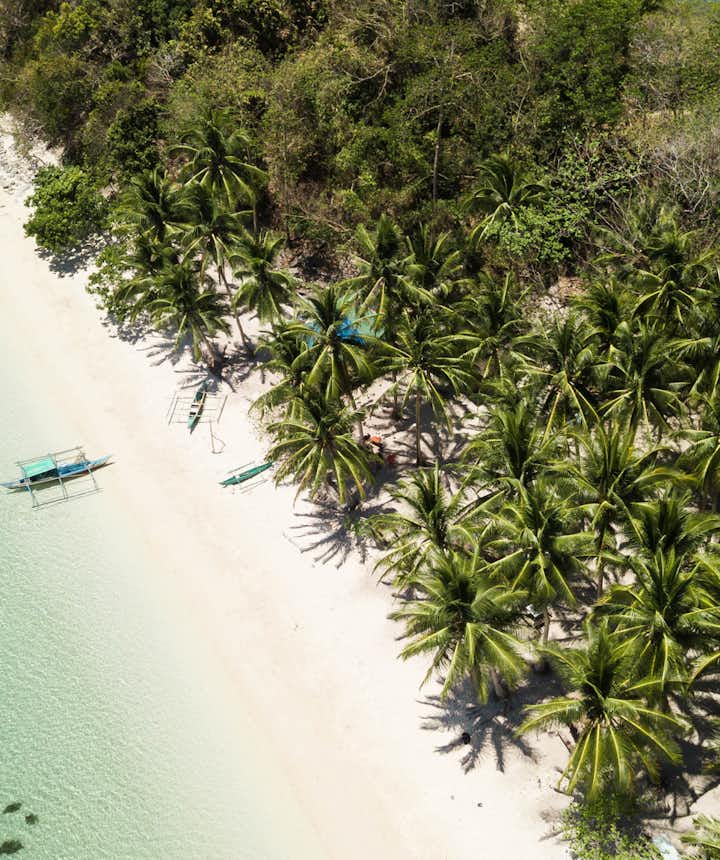 14 Best Port Barton Palawan Hotels and Resorts: Beachfront, Budget-Friendly, Islands