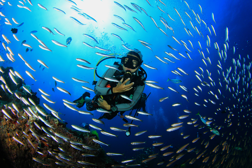 Book your Boracay Scuba Diving with us while prices are low!