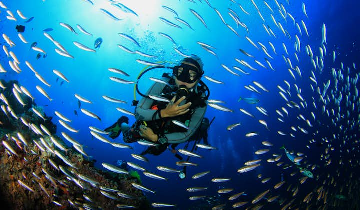 Book your Boracay Scuba Diving with us while prices are low!