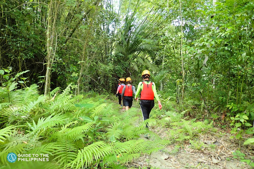 Tourists hiking in a tropical forest