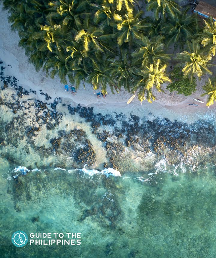 Aerial view of Siargao Island's shore