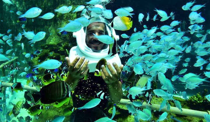 Full face or half-face helmet diving experience at Boracay
