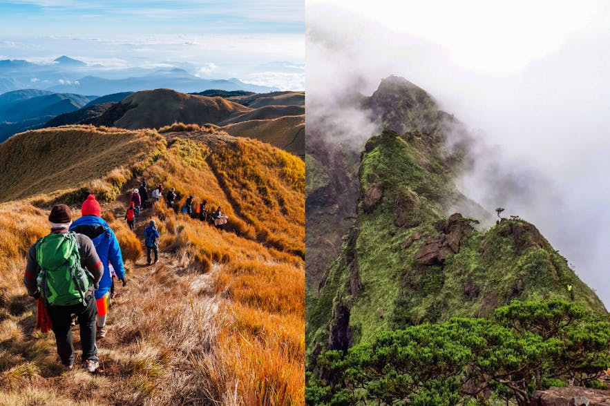 Mt. Pulag and Mt. Guiting-Guiting