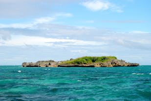 Enjoy your summer vacation at Crocodile Island detour