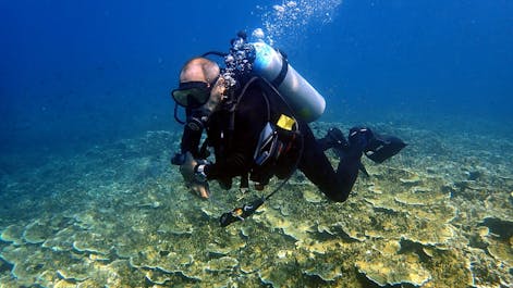 PADI Discover Scuba Dive Course