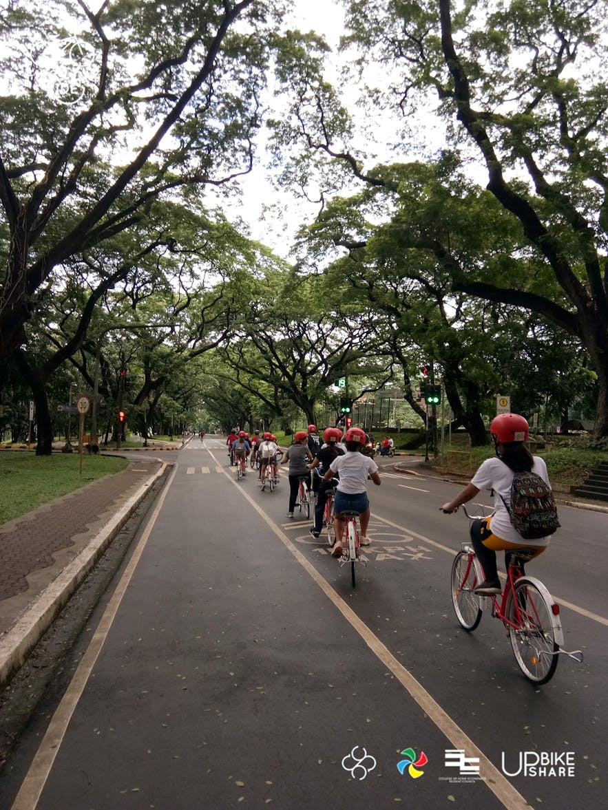 Cyclists in University of the Philippines Diliman