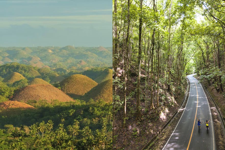 Chocolate Hills and the Bilar Man-Made Forest