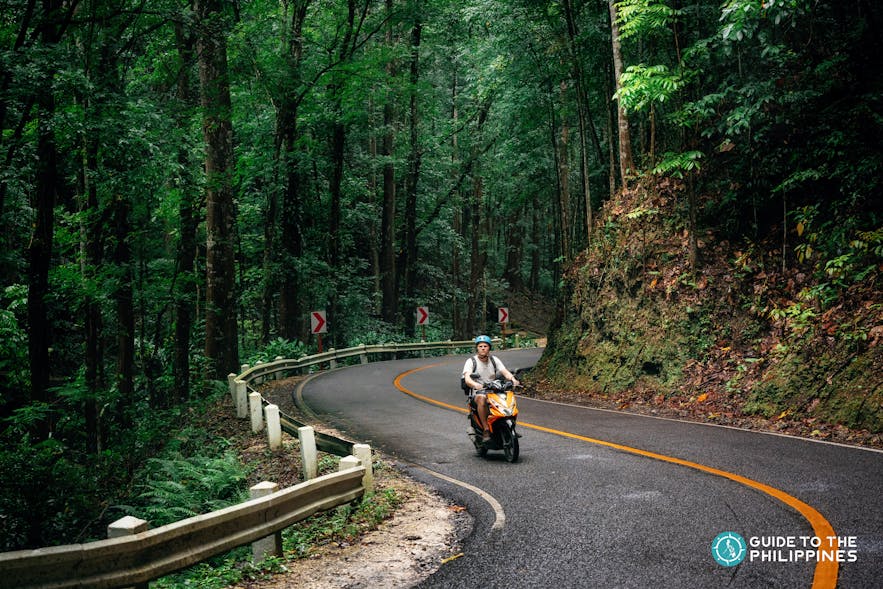 Man riding a motorcycle in the Bilar Man-Made Forest