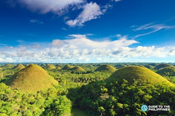 Bohol Countryside Tour: Chocolate Hills, Top Attractions, What to Expect, Activities