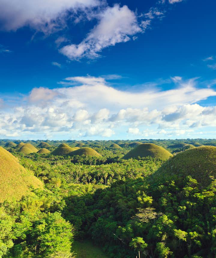 Bohol Countryside Tour: Chocolate Hills, Top Attractions, What to Expect, Activities