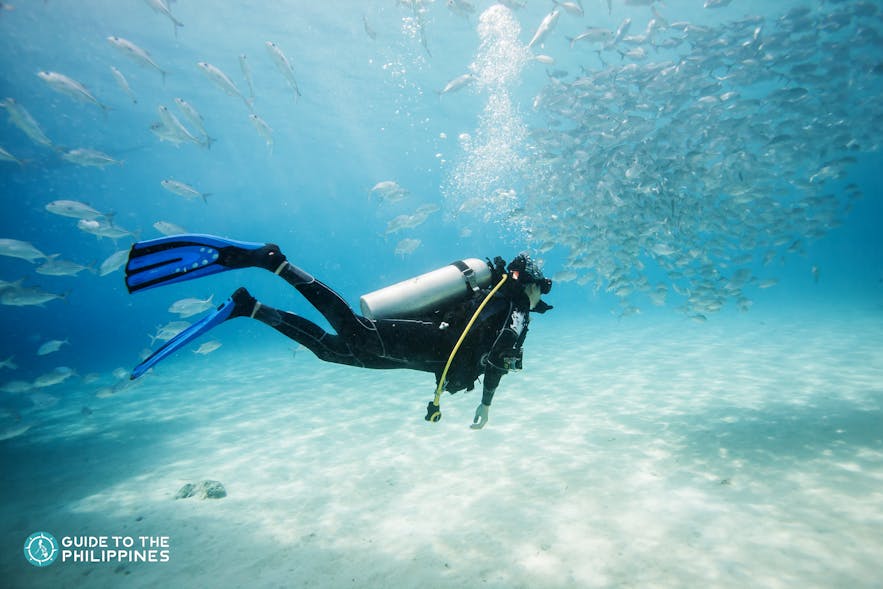 Diver swimming past fish in Dimakya Island, Coron